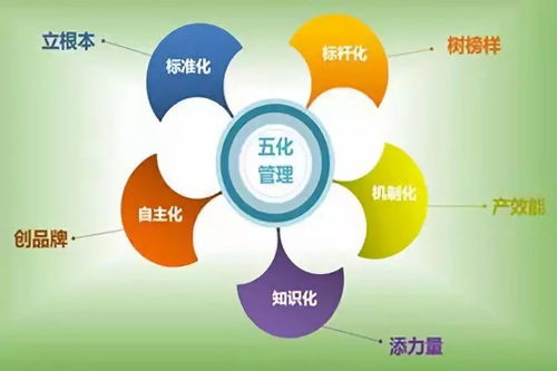 掌握班組管理4大要點,實現(xiàn)合理配置班組人員
