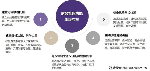 圖解 關于中央企業(yè)加快建設世界一流財務管理體系的指導意見